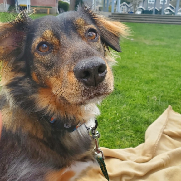 Welcome to my Closet! 👋 - Picture 4 of 4